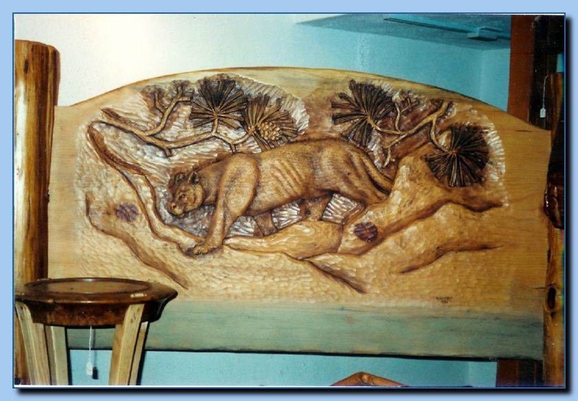 2-12 mountain lion-archive